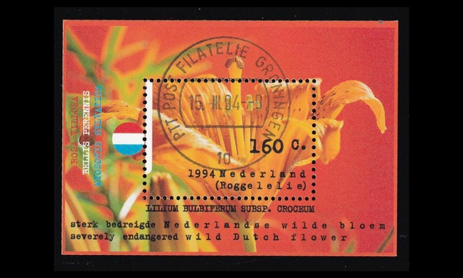 Alankomaat 1507BL40 o Luonto ja ympäristö (1994)