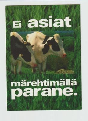 Postikortti, Eläinaihe, eläimet , LEHMÄT