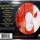 WIDESPREAD PANIC Ain't life grand CD 1994 UUSI avaamaton - pikkukuva 2