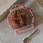 DDR - itäsaksalainen ansiomerkki - pinssi - pikkukuva 2