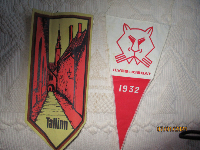 Viiri 2kpl Tallinn ja ilves kissat