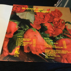 Vera Telenius Miljoona ruusua 1984 Lp - pikkukuva 3