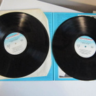 Muddy Waters 2LP FRA 1980 Muddy Waters - pikkukuva 4
