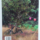 Laura Ashley (Firm) ym. : Laura Ashley Home Decoration 1999 - pikkukuva 2