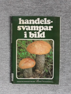 Handelssvampar i bild