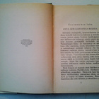 Christoph von Schmid: Tannenburgin ruusu, v. 1931 - pikkukuva 4