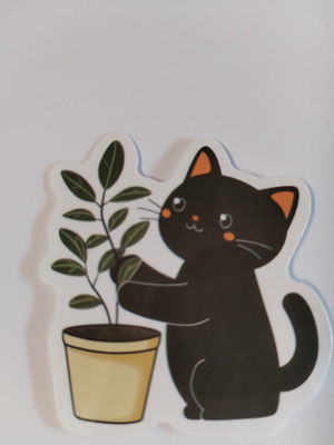 Kissa tarra.