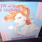 2 LP Leevi and the Leavings Salaiset numerot ( SIS POSTIKUL) - pikkukuva 1