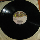 Van Der Graaf Generator - World Record LP 1976 prog - pikkukuva 3