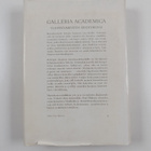 Galleria Academica : yliopistomiesten muotokuvia - pikkukuva 2