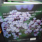 Jouko Rikkinen : Värien puutarha ( 1 p. 2007 ) sis. postik. - pikkukuva 2