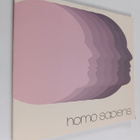 Curre : Homo sapiens - pikkukuva 1