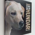 David Taylor : Bonniers stora bok om hundar - pikkukuva 1
