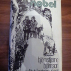 Björnstjerne Björnson: Valitut kertomukset - pikkukuva 1