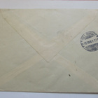 1938 Kuhmoinen kirjattu kultatähkäehiö - pikkukuva 2