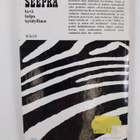 Raimo Lehtovaara : Epilepsia - pikkukuva 2