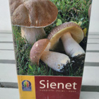 Sienet - kirja - pikkukuva 2