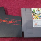 NES - The Flintstones: The Rescue of Dino & Hoppy - pikkukuva 2