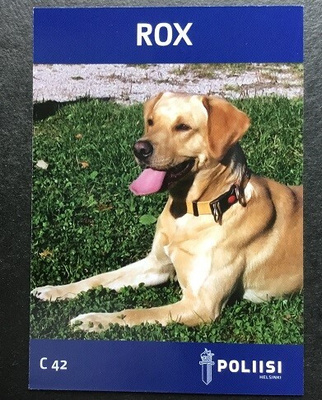 Labradorinnoutaja koira kortti