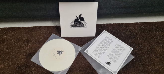 Aryan Art ?? ????? ? ???????? 10" MLP Kvlt Black Metal