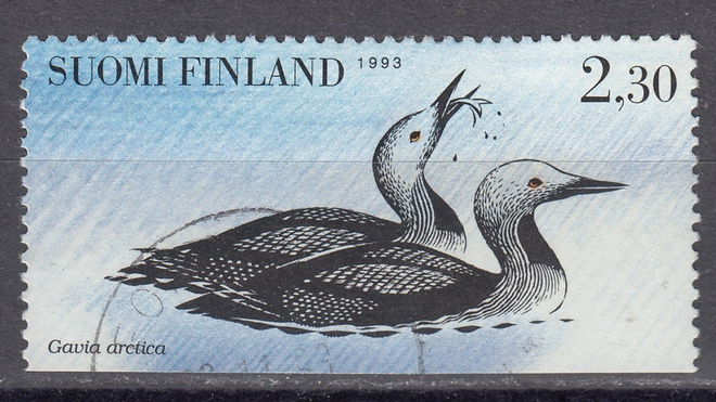 1993 Lape 1218 Vesilintuja -Kuikkaparvi