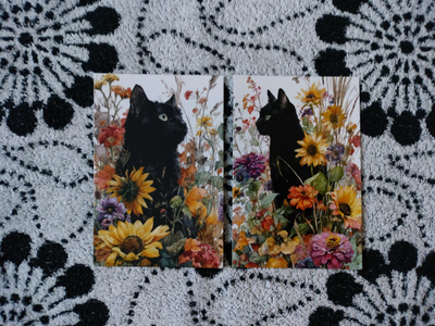 ~Kissa kortti~ 2kpl