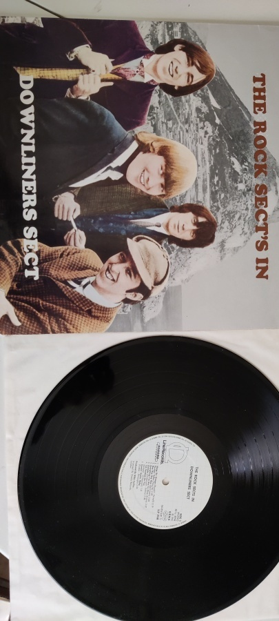 Downliners Sect : The Rock Sect's In!  Vinyyli lp