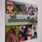 Venke Eiane Säther : Suuri askartelukirja - pikkukuva 1