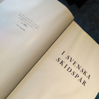 i svenka skidspår - pikkukuva 2