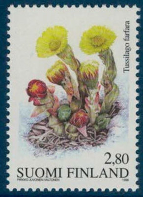 1998 leskenlehti ++
