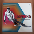 Aavikko Multi muysic >>[LP] - pikkukuva 1