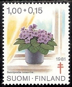 1981 TUB merkki Saintpaulia ** LaPe 884