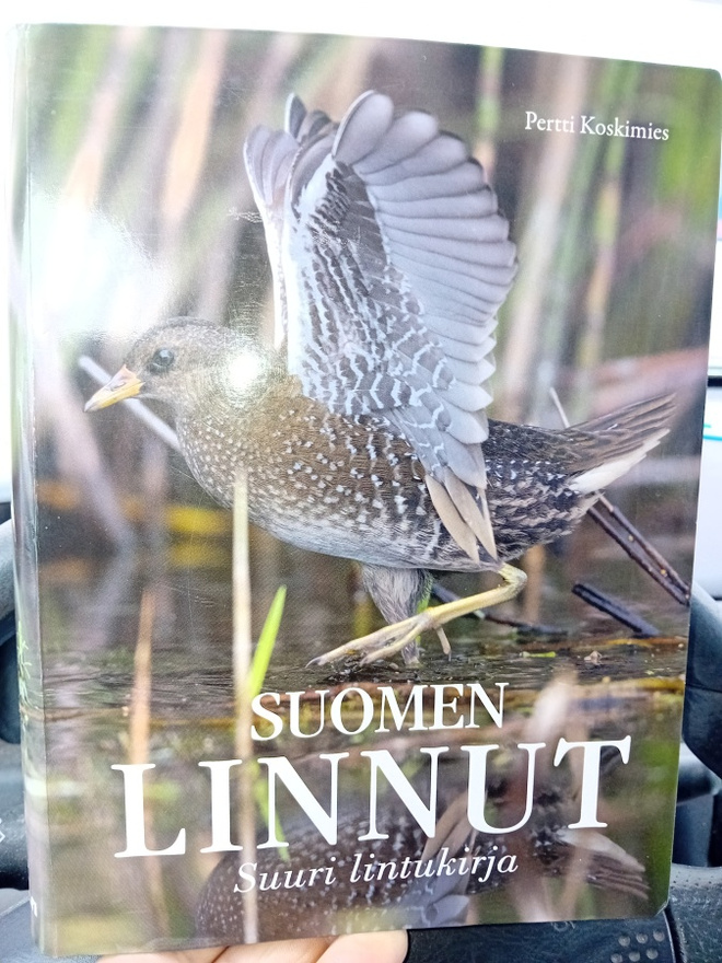 Koskimies : Suomen linnut  - Suuri lintukirja  ( SIS POSTIKU