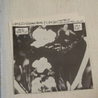 Los Gusanos Quick to cut 7 45 musta vinyyli CJ Ramone - pikkukuva 4