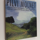 Pilvi : Ruotsalainen maisemamaalaus 1800-luvulla - pikkukuva 1