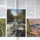 Perhokalastus n:o 5 2009 SM-kilpailu. Mallardit. Teno. Lappi - pikkukuva 5