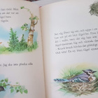 barnbok - peter och fåglarna - pikkukuva 2