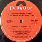 TED NUGENT & THE AMBOY DUKES ~ Survival Of The Fittest ~ LP - pikkukuva 3