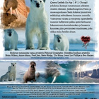 Jääkenttien Kutsu  -  DVD - pikkukuva 2