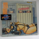 HURRIGANES - USE NO HOOKS M-/ M- LP SWE-77 - pikkukuva 1