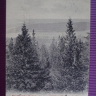 Kuopio näköala Puijolta WANHA 1903 - pikkukuva 1
