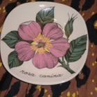 Arabia ESTERI TOMULA - Rosa Canina seinälautanen - pikkukuva 1
