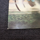 Hawkwind - Hall of The Mountain Grill LP 1974 - pikkukuva 5