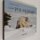 Little Polar Bears - pikkukuva 1