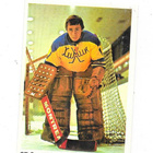 1974-75 SWE Williams #37 Gennadi Lapshenkov , Khimik MV - pikkukuva 1