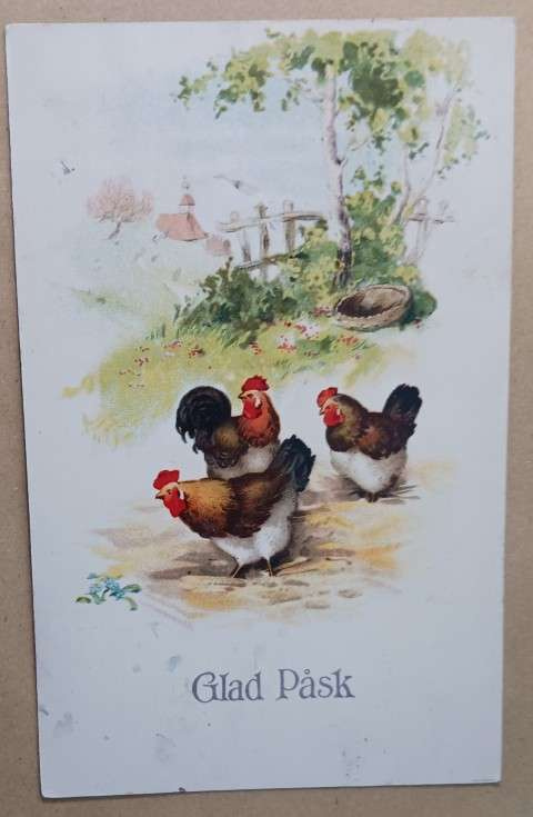 Kolme komeaa kanaa kuopsuttamassa pihaa, p. 1930
