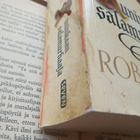 Robin Hobb - Kuninkaan salamurhaaja (pokkari) - pikkukuva 3
