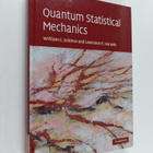 W. C. Schieve : Quantum statistical mechanics - pikkukuva 1