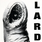 Lard - The Power Of Lard EP 12" 1989 UK & EU Vinyyli - pikkukuva 1