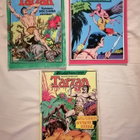Burroughs, Edgar Rice & co: Tarzan-albumipaketti (3 kpl) - pikkukuva 1
